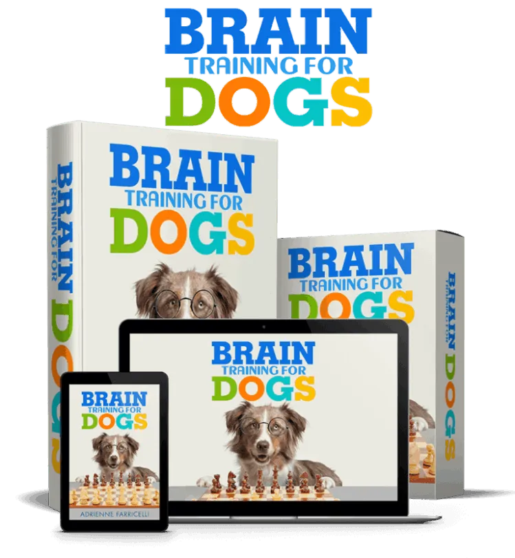Brain Training for Dogs Review